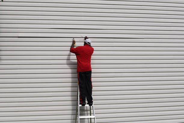 Siding for Commercial Buildings in Wrightwood, CA